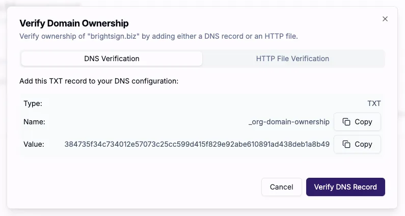 Formulario de verificación DNS