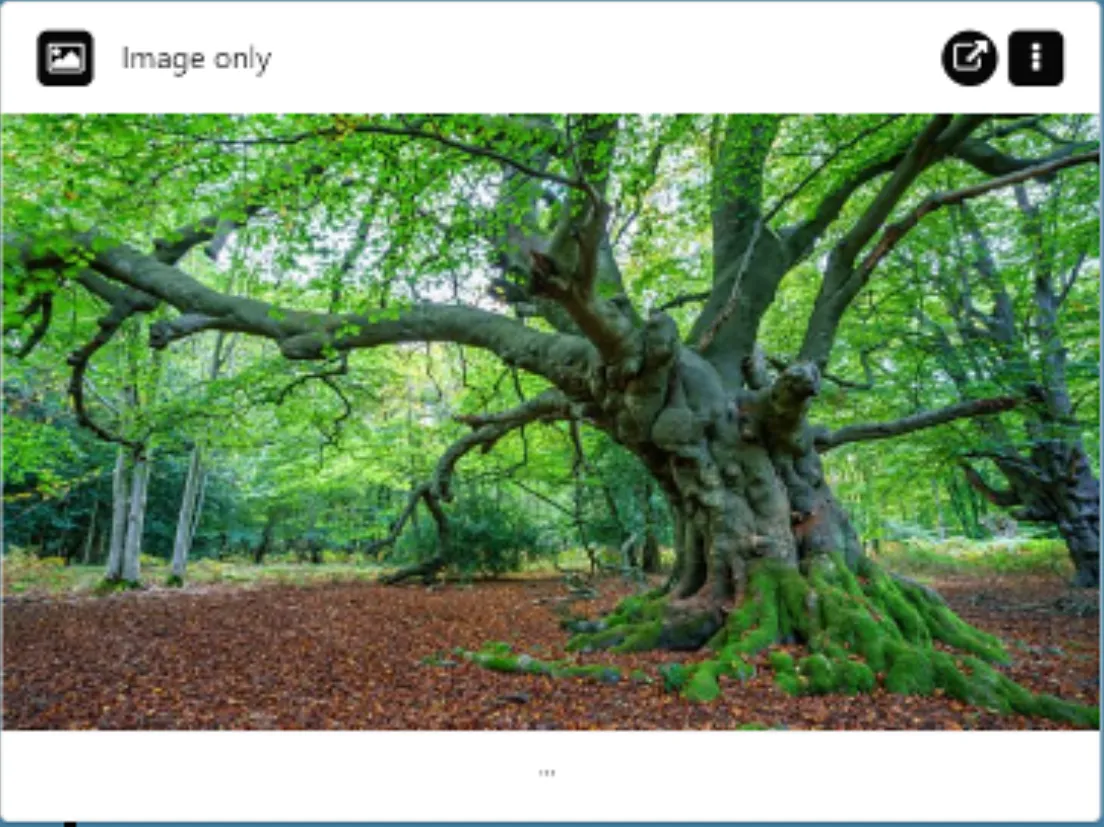 Document image