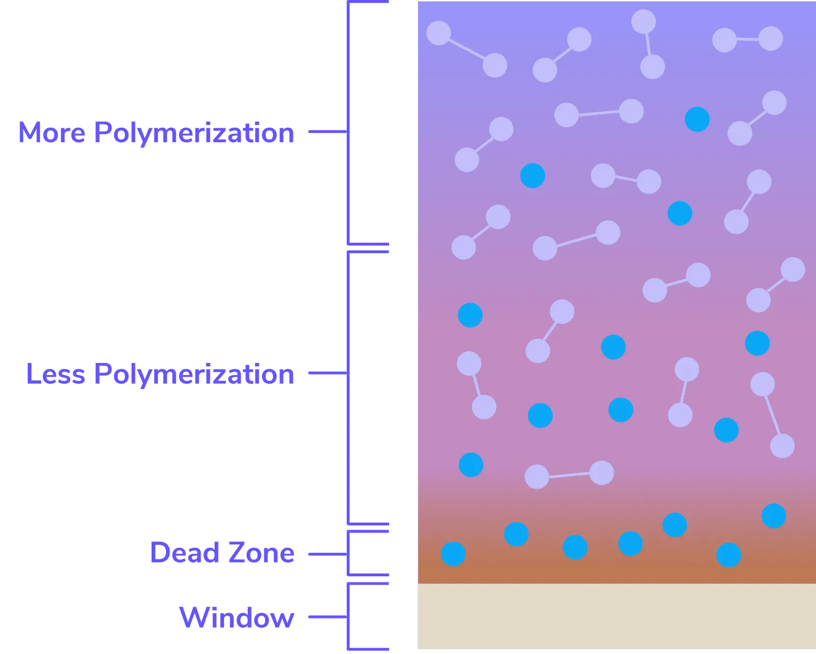 gradient of curing across a slice gradient of curing across a slice