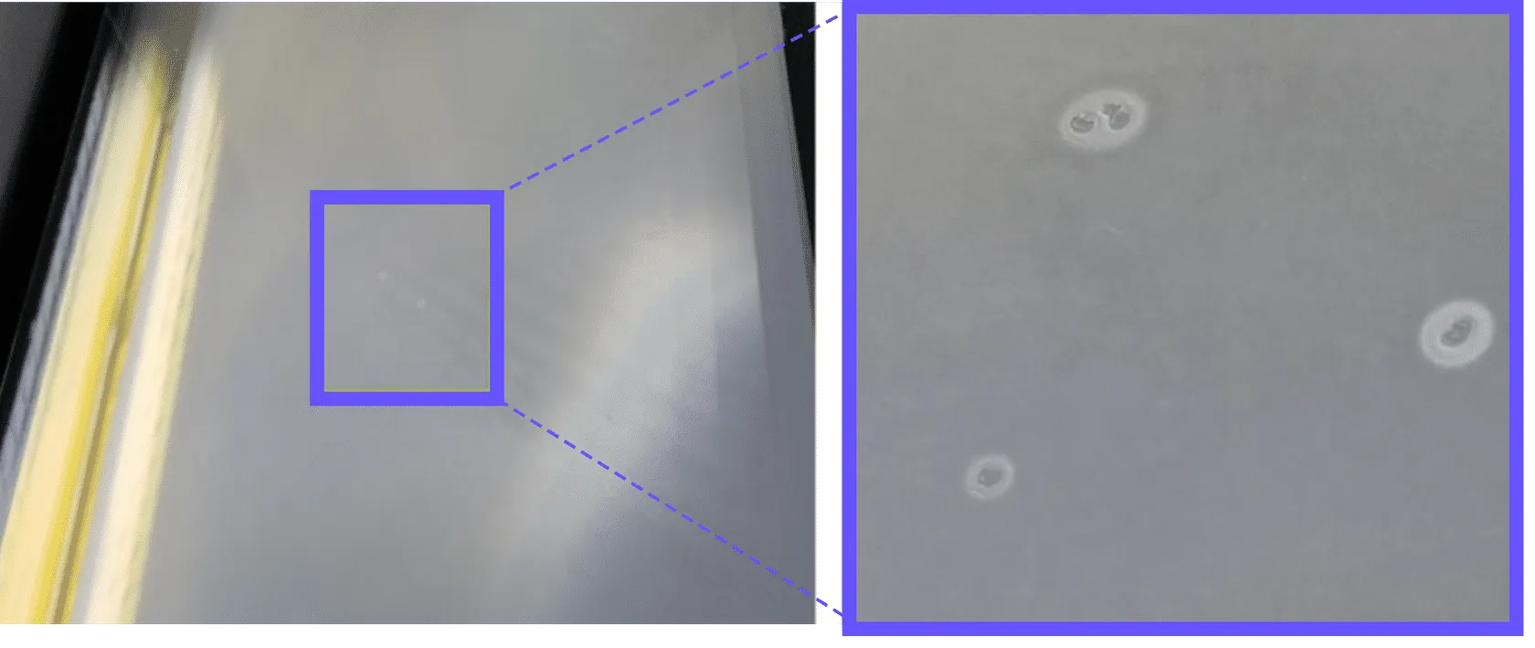 Document image Document image