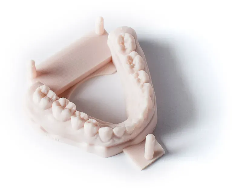 Mandibular dental model made of DPR 10 Mandibular dental model made of DPR 10
