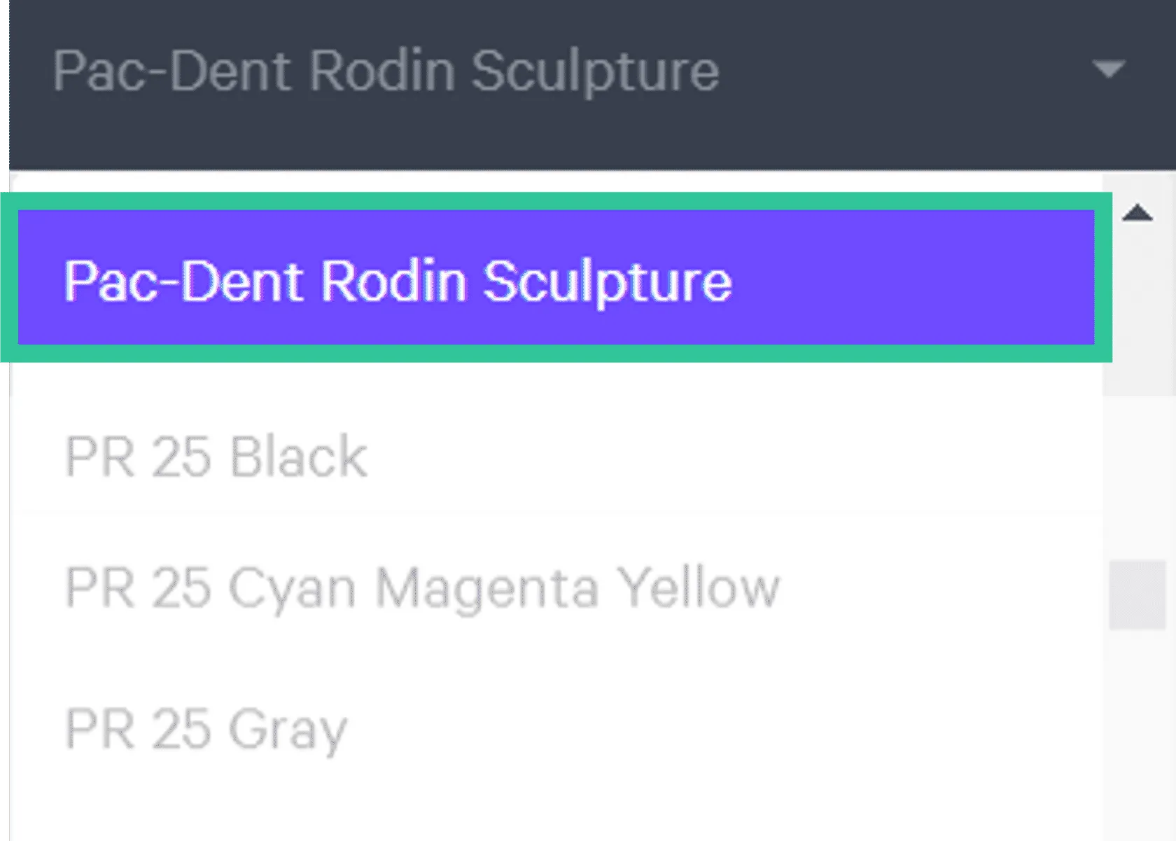Resin menu showing Pac-Dent Rodin Sculpture selected Resin menu showing Pac-Dent Rodin Sculpture selected