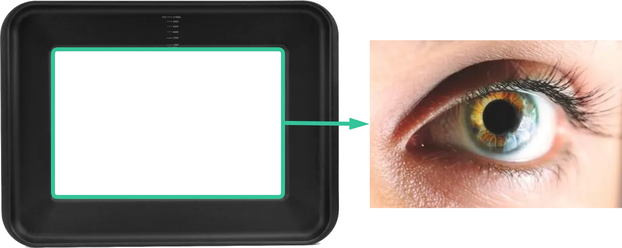 Document image Document image