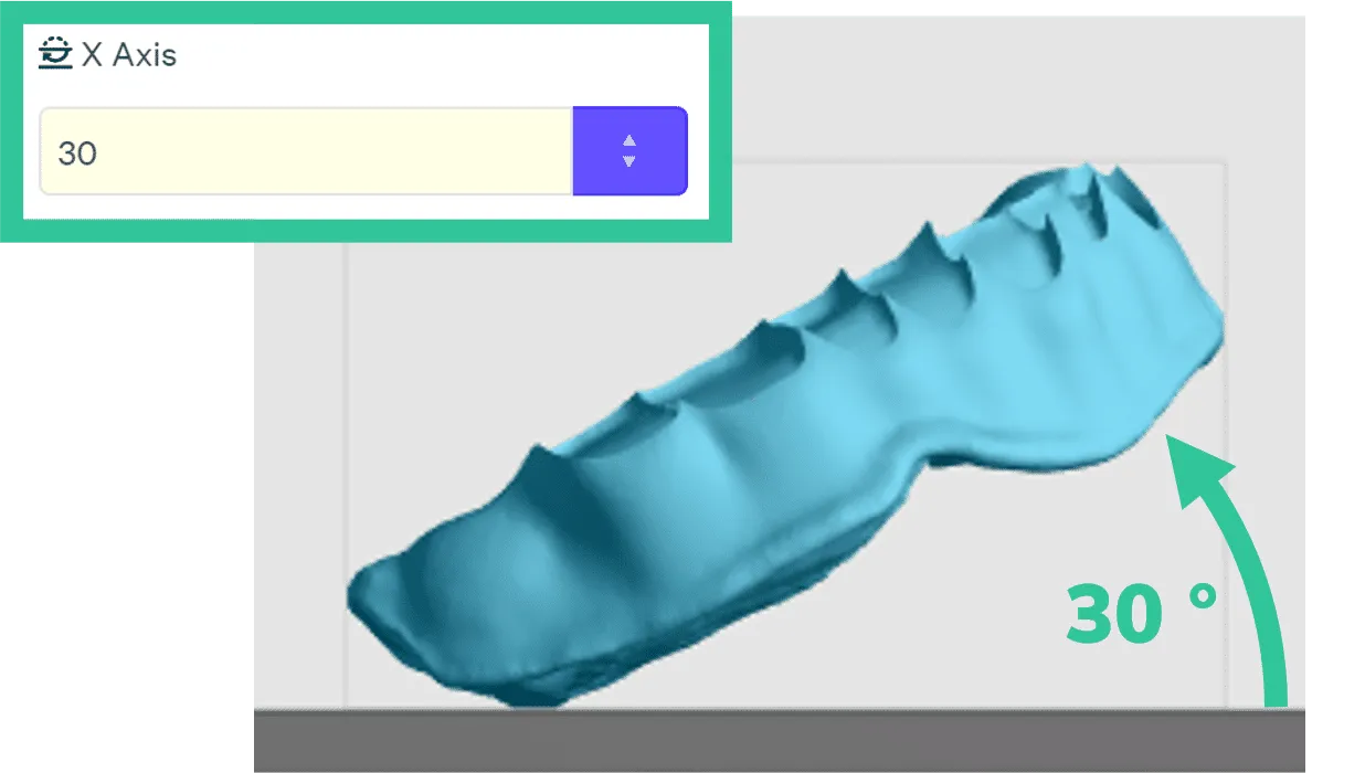 Orientation of maxillary base
