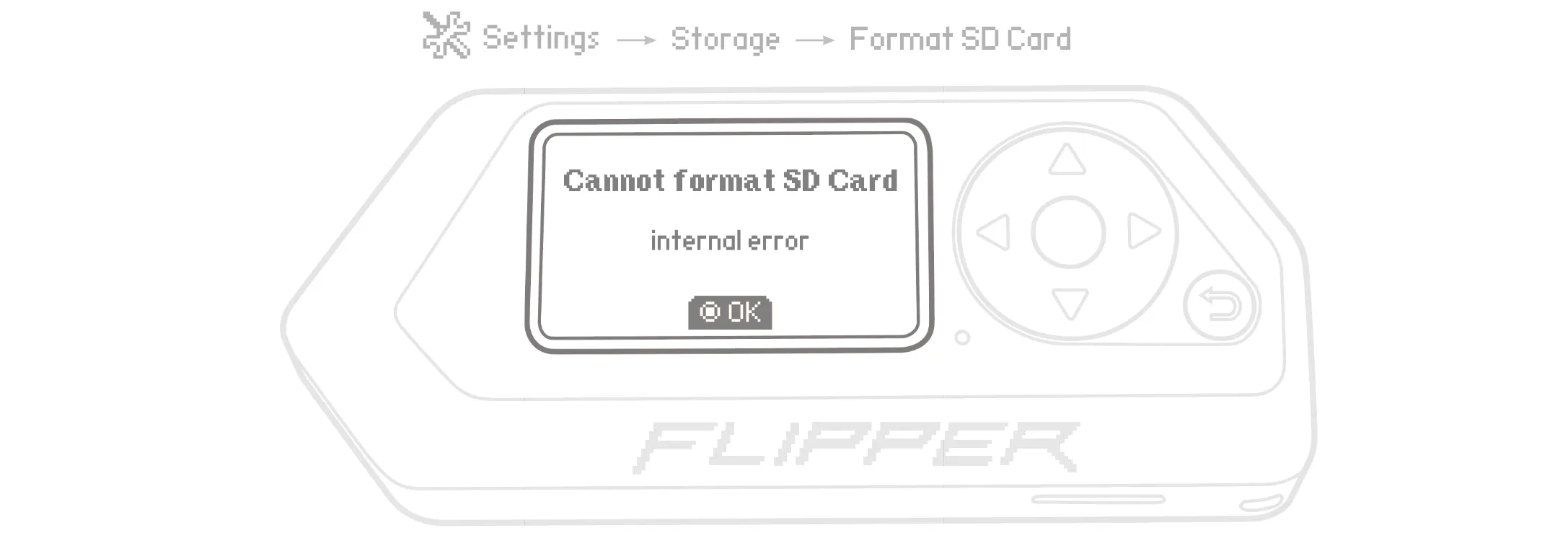 The formatting procedure failed