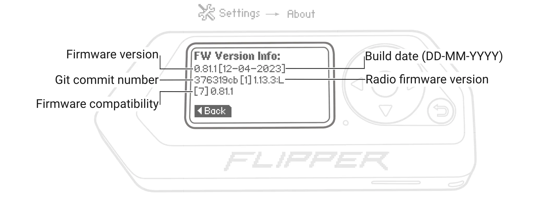 View detailed information about the installed firmware