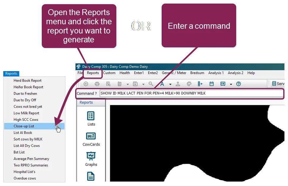 Document image Document image