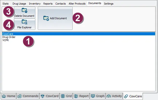 Document image