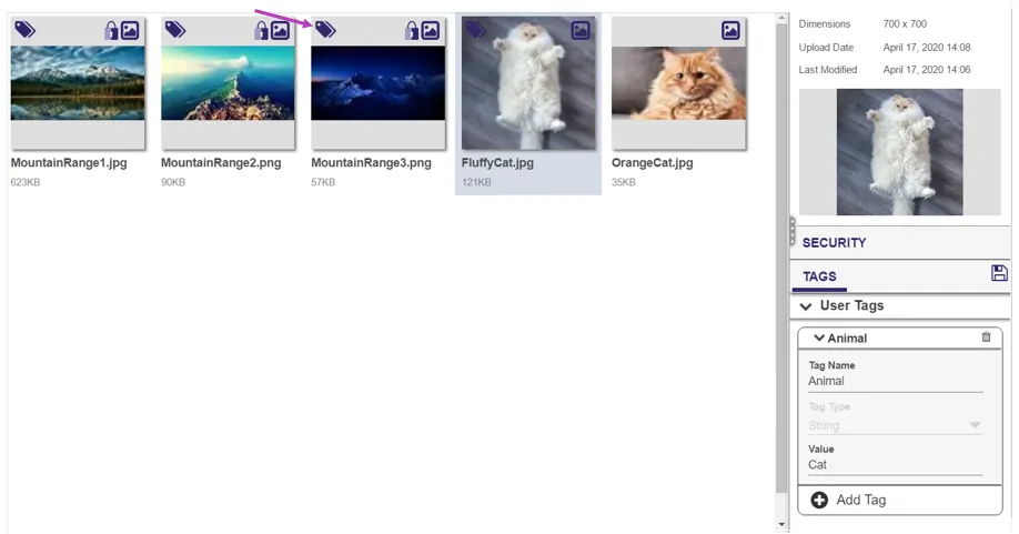Document image