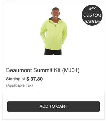 Example