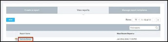 Nexpose Data Export - View Reports