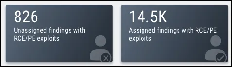 EOL Widget - Assigned and Unassigned RCE PE Findings
