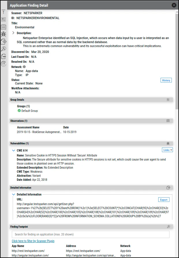 Netsparker Ent Guide - Application Finding Detail