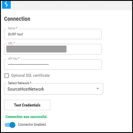Burp Suite Enterprise - Connection Window