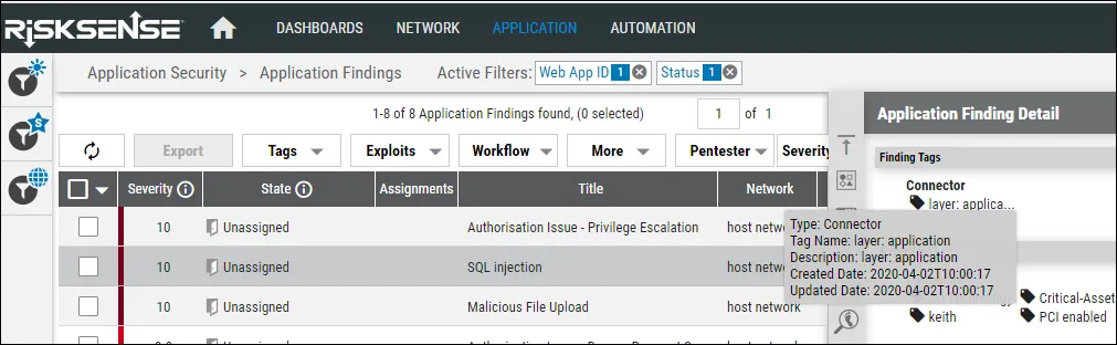 Edgescan Connector Guide - Application Findings Page View