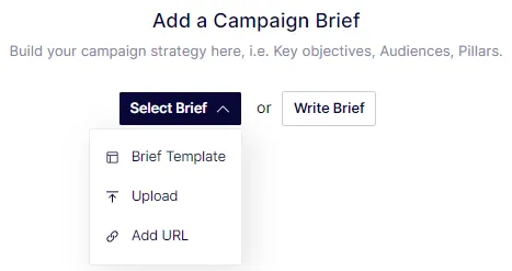 Create a Campaign Brief 1