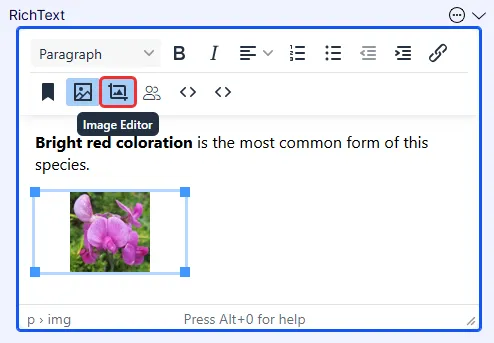 Document image