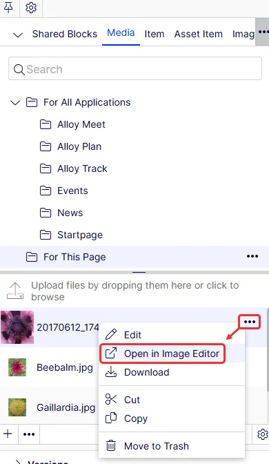 Document image