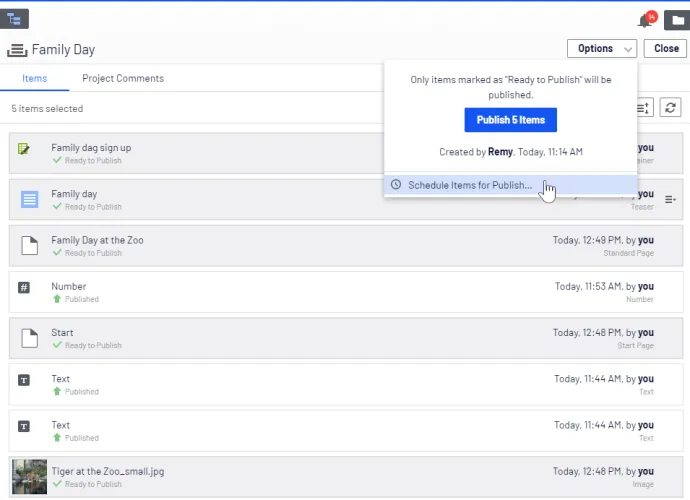 Schedule items for publishing