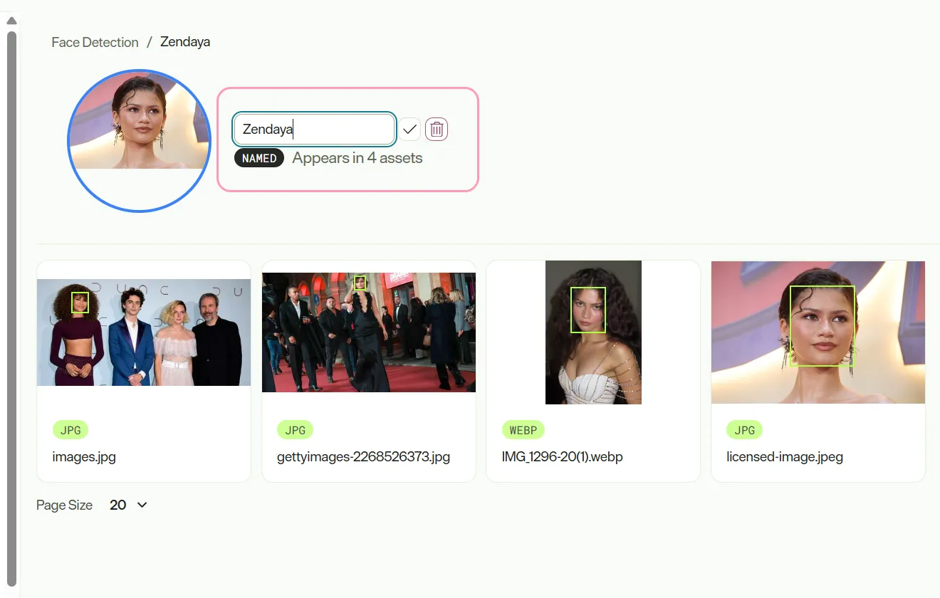 Screenshot showing rename or remove options in the Face Detection page