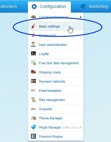 Image: Basic Settings menu item