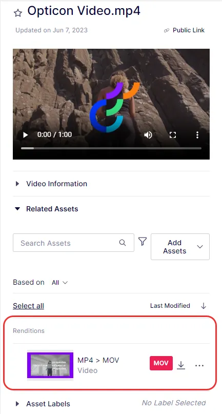 video-view-renditions.png video-view-renditions.png
