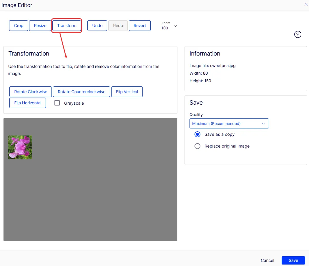 Document image