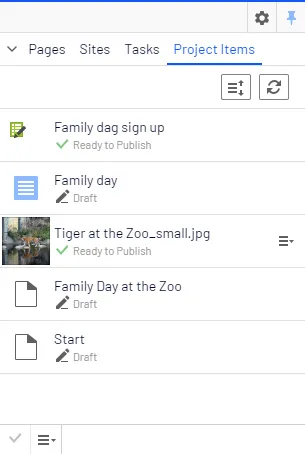 The Project Items tab in the navigation pane