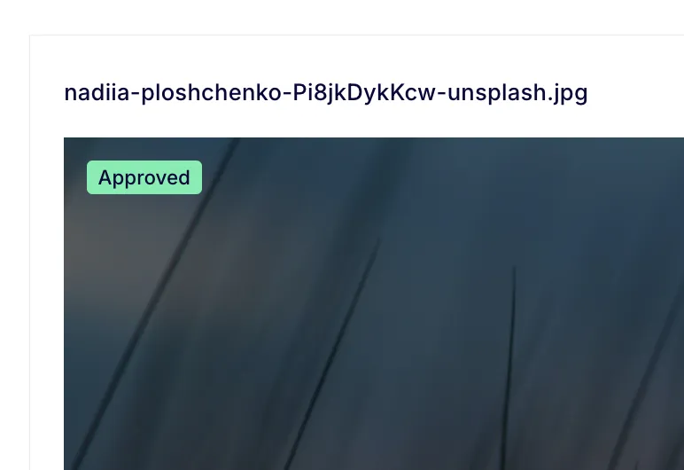 Approved.png