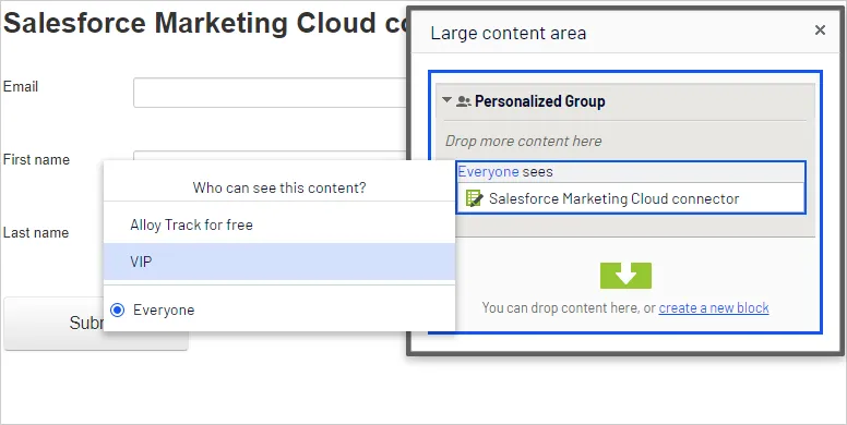 Personalize ExactTarget form