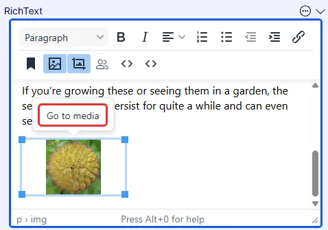 Document image