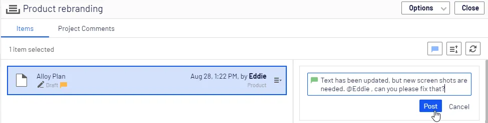 Comment on the project item Comment on the project item