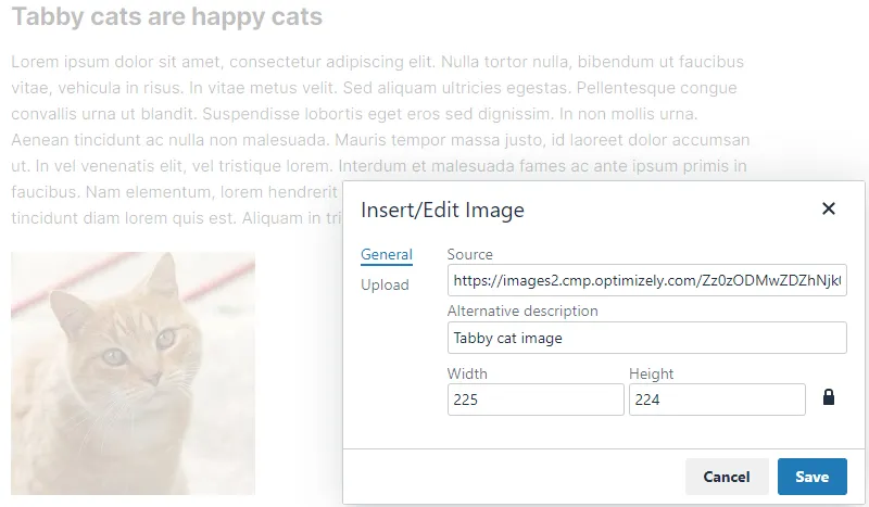 inline-image-attributes.png inline-image-attributes.png