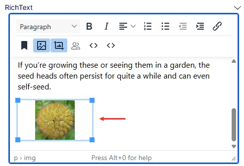 Document image