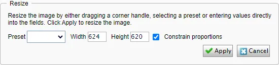 Resize the image editor Resize the image editor