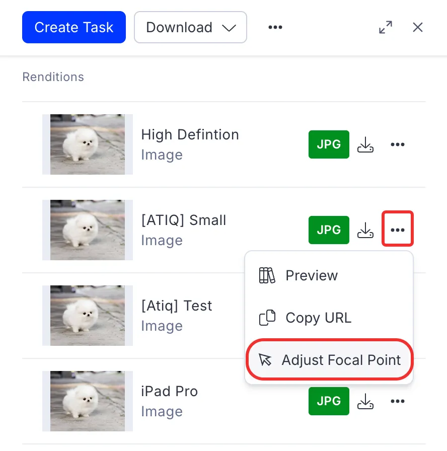 Adjust focal point.png Adjust focal point.png