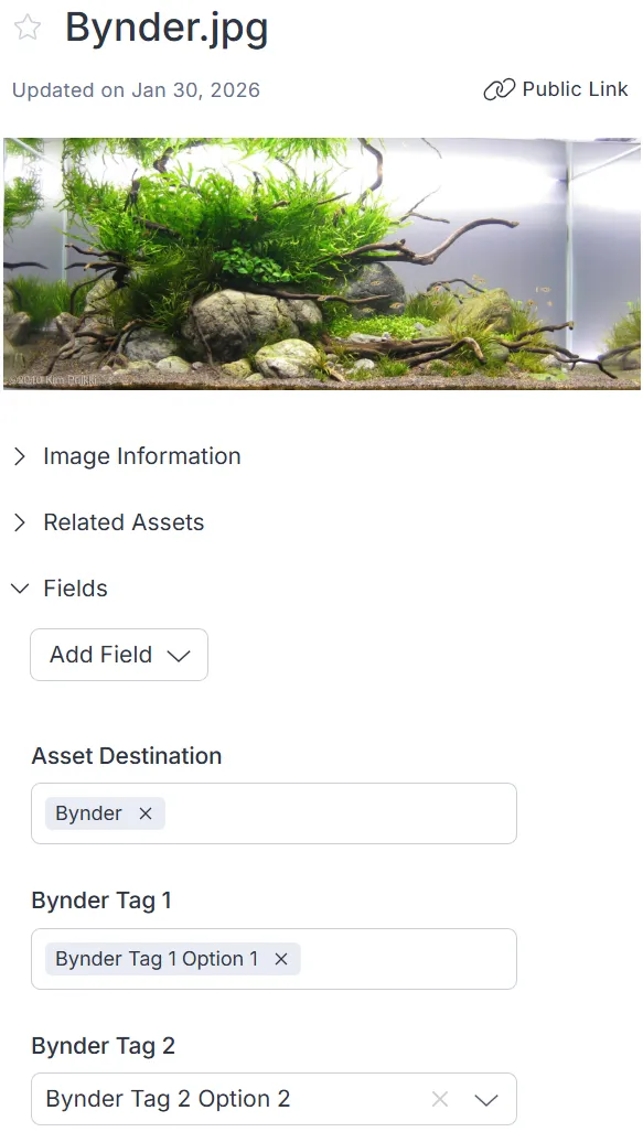 Document image