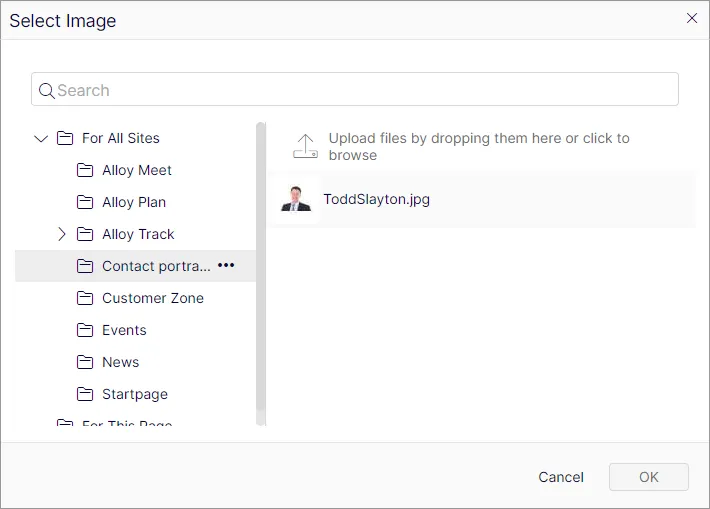 Drag and drop a image into the image property Drag and drop a image into the image property
