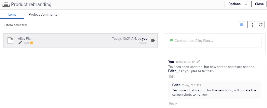 Comments on the project item Comments on the project item
