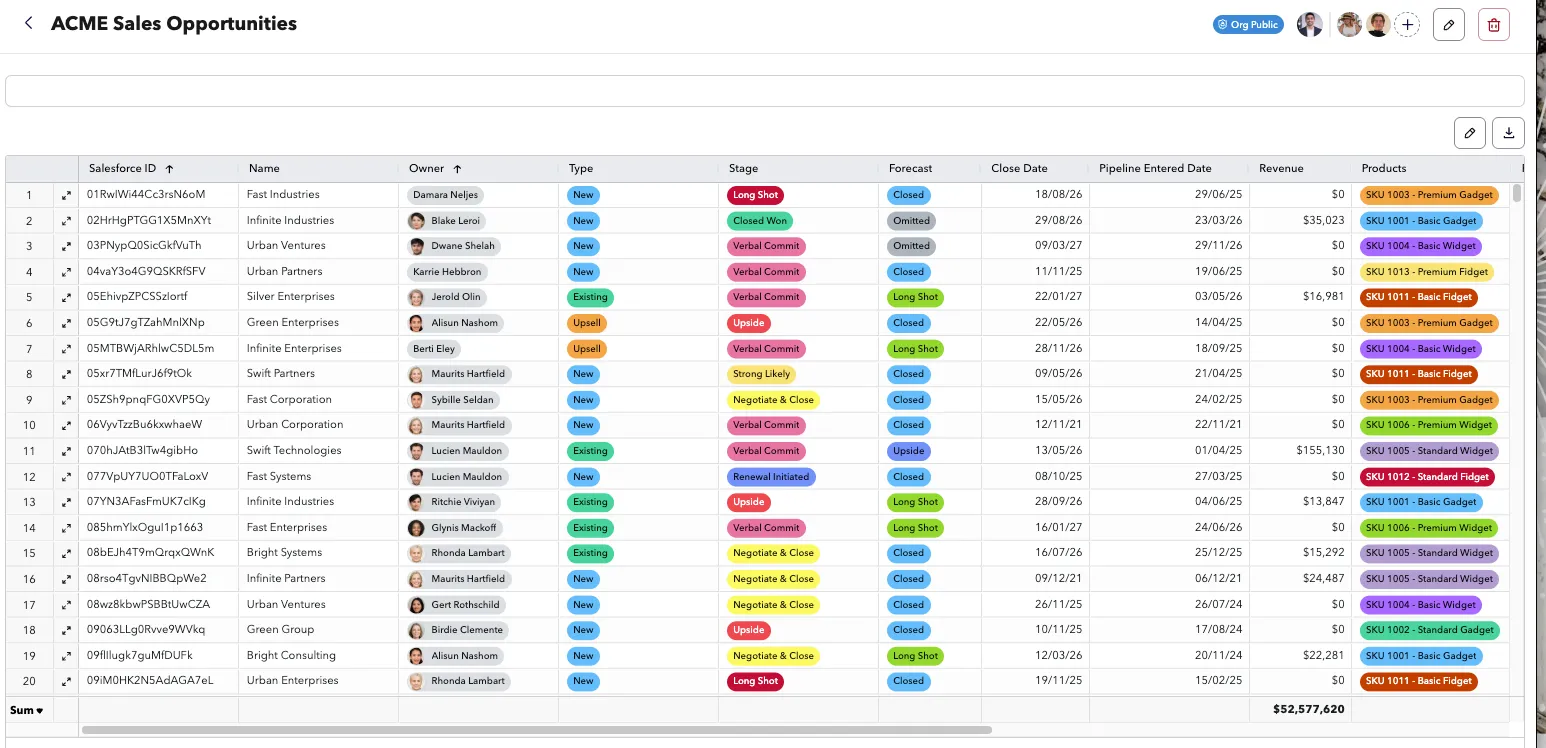 salesforce data in a table 