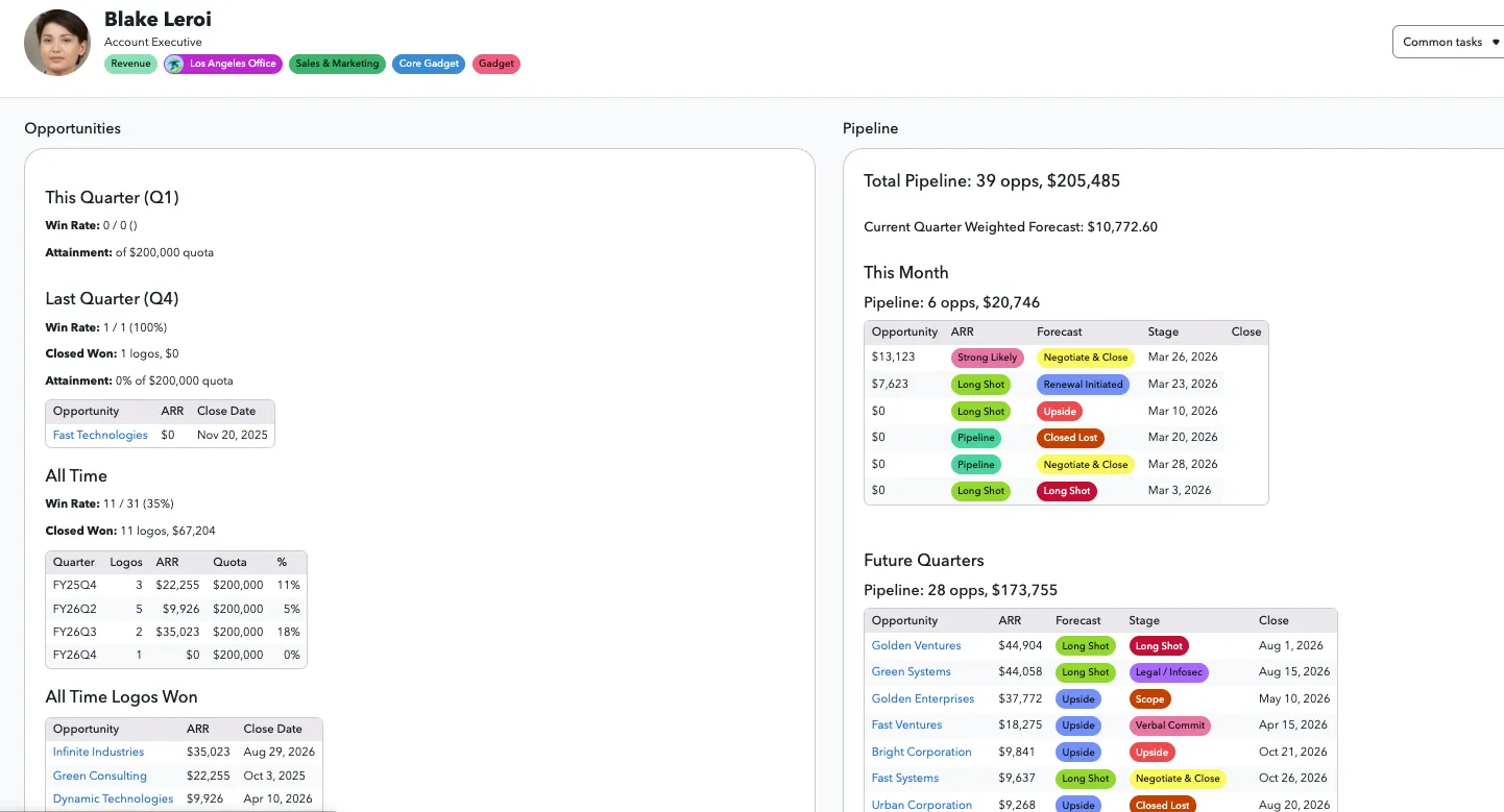 Profile tab for sales team member