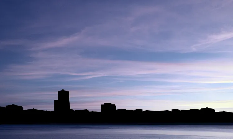 Silhouette of Arvory