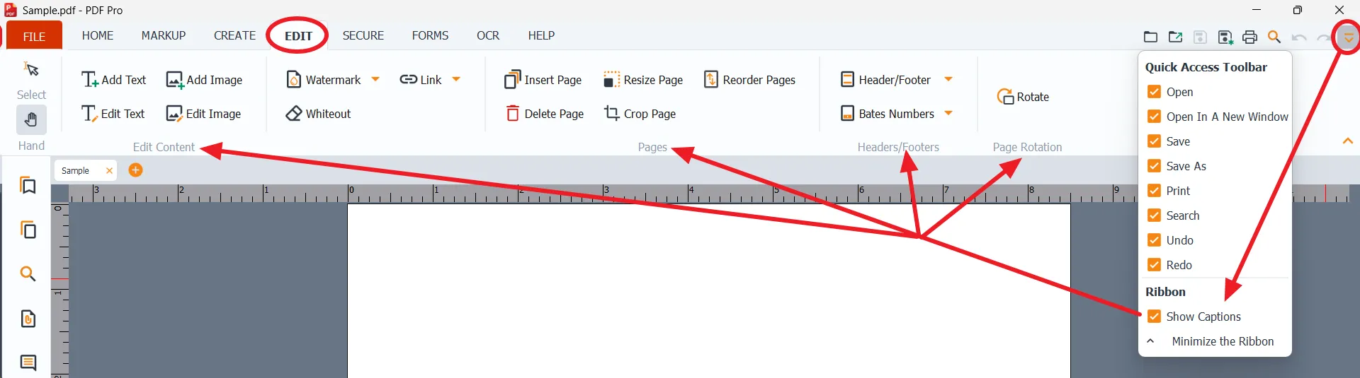 The EDIT tab with captions