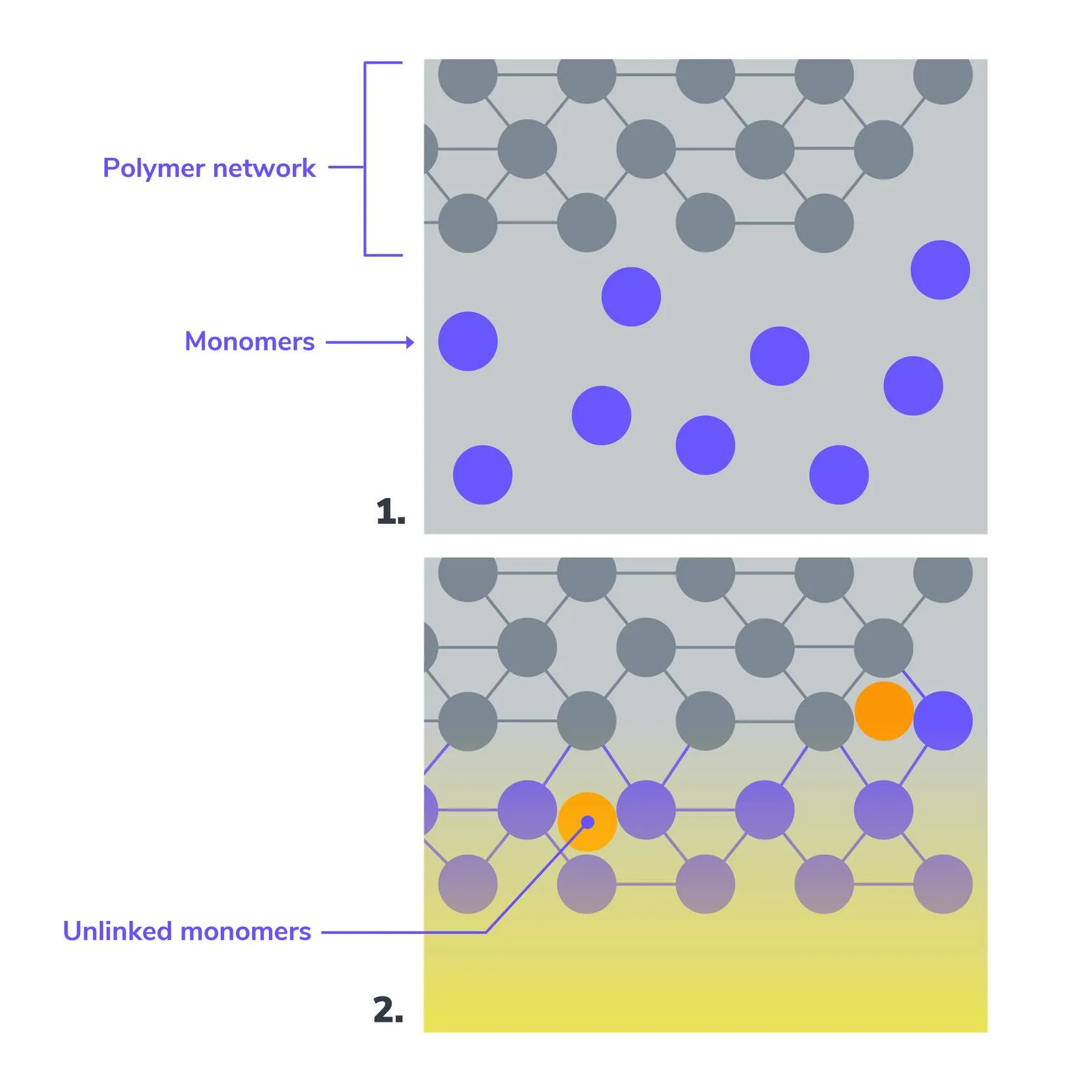 Polymer network