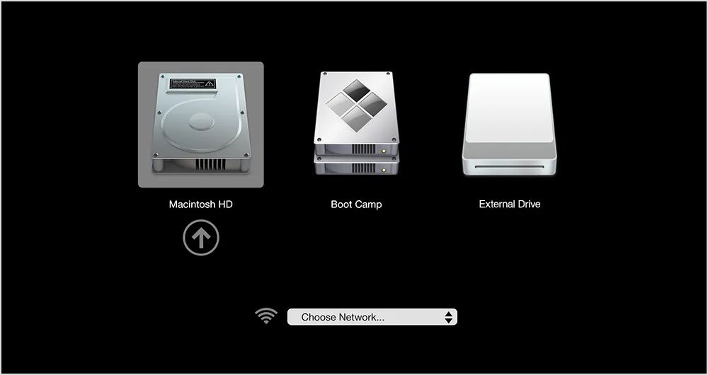 Startup Manager showing disks available for startup