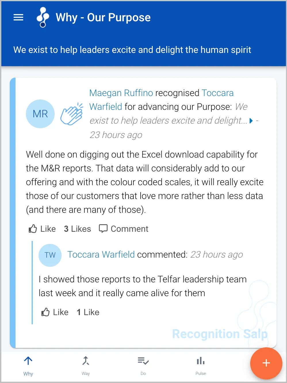 An example purpose Salp in Salpulse
