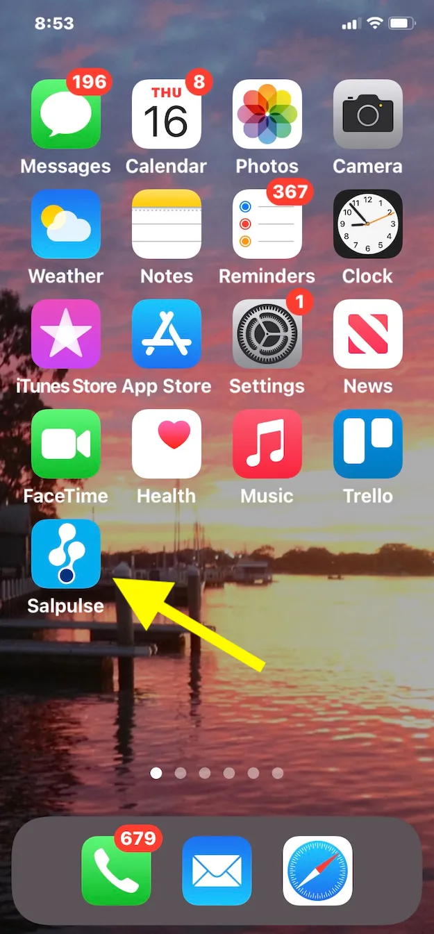 Putting a Salpulse icon on your mobile's home screen