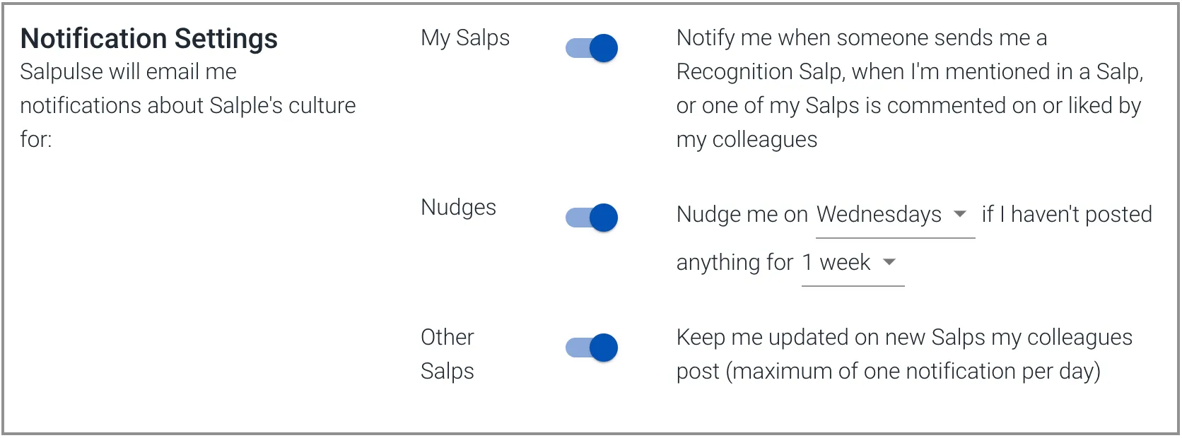 Notification settings in Salpulse