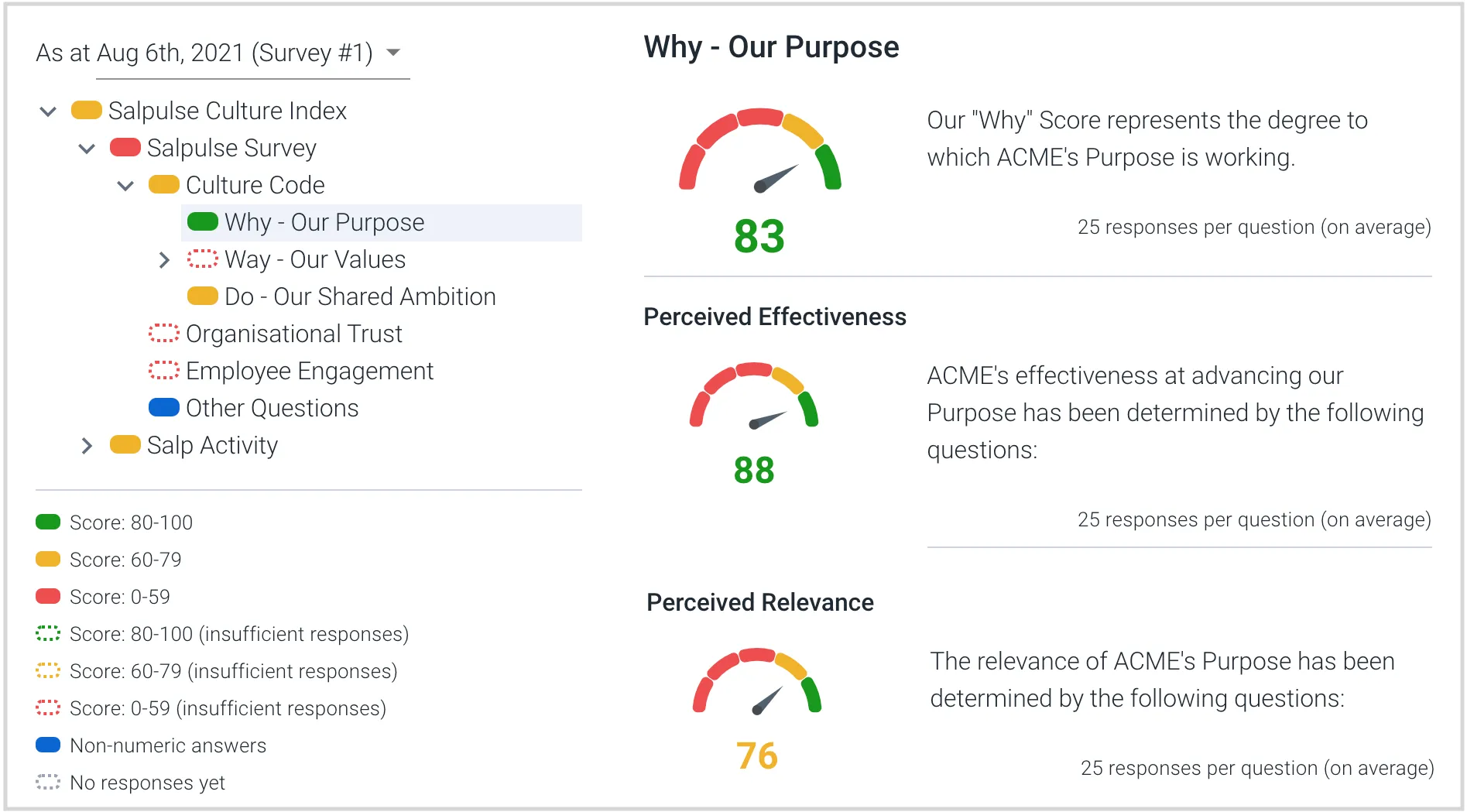 "Why" (purpose) node of a Salpulse culture survey