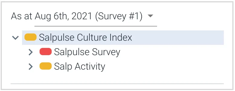 Top of the culture measurement tree in Salpulse